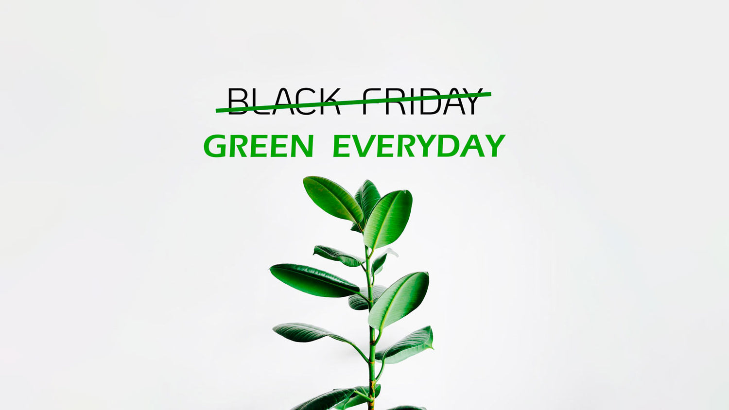 Black Friday led-valot