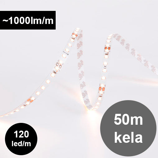 50m-led-nauha-24V