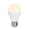 E27 6W CCT