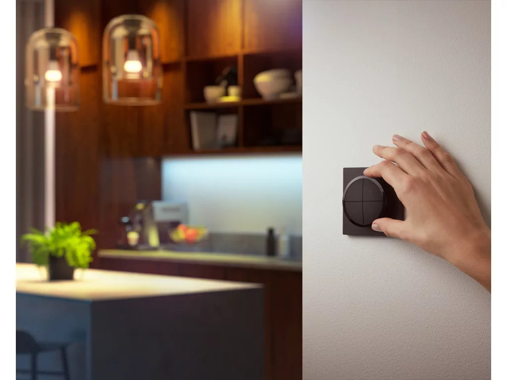 Philips Hue Tap Dial Switch