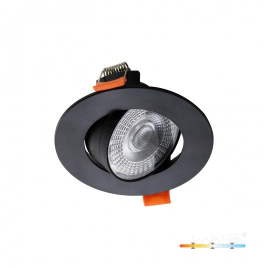 LED downlight BRINO with adjustable beam and various color temperatures for versatile indoor use.